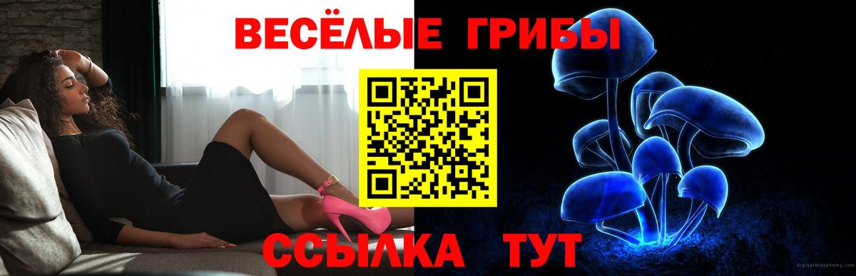 Галлюциногенные грибы Cubensis Анжеро-Судженск